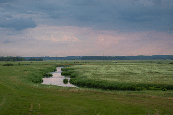 Water Management Essentials